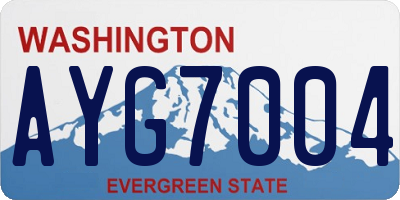 WA license plate AYG7004