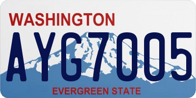 WA license plate AYG7005