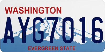 WA license plate AYG7016