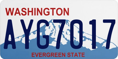 WA license plate AYG7017