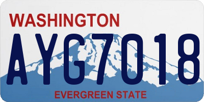 WA license plate AYG7018