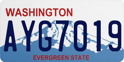 WA license plate AYG7019