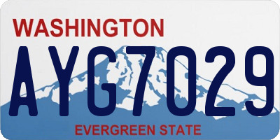 WA license plate AYG7029