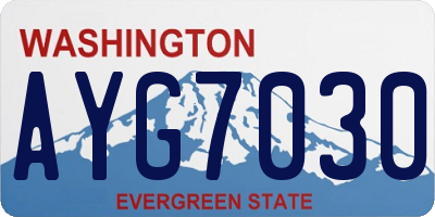 WA license plate AYG7030