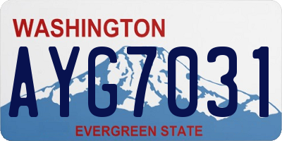WA license plate AYG7031