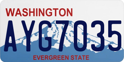 WA license plate AYG7035