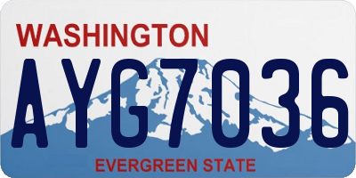 WA license plate AYG7036