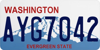 WA license plate AYG7042