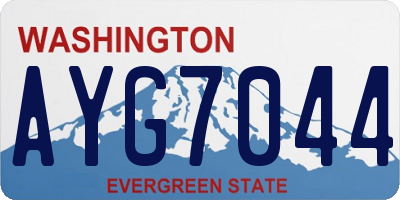 WA license plate AYG7044