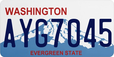 WA license plate AYG7045