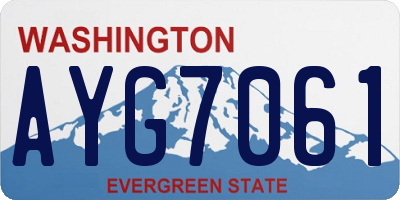 WA license plate AYG7061