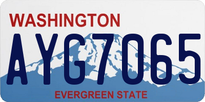 WA license plate AYG7065