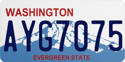 WA license plate AYG7075