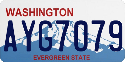 WA license plate AYG7079
