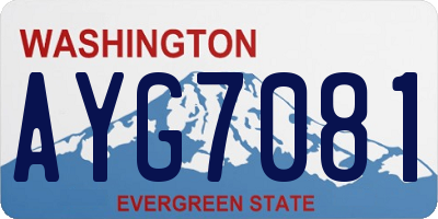 WA license plate AYG7081