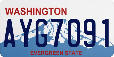 WA license plate AYG7091
