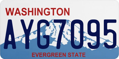 WA license plate AYG7095