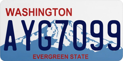 WA license plate AYG7099