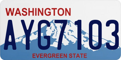WA license plate AYG7103