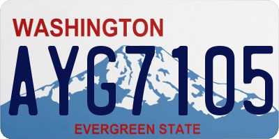 WA license plate AYG7105