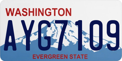 WA license plate AYG7109