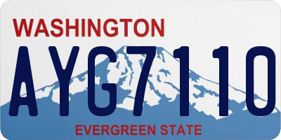 WA license plate AYG7110