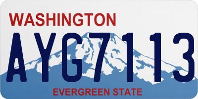 WA license plate AYG7113