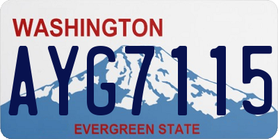 WA license plate AYG7115
