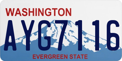 WA license plate AYG7116