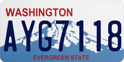 WA license plate AYG7118