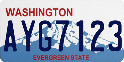WA license plate AYG7123