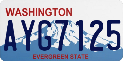 WA license plate AYG7125