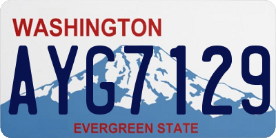 WA license plate AYG7129
