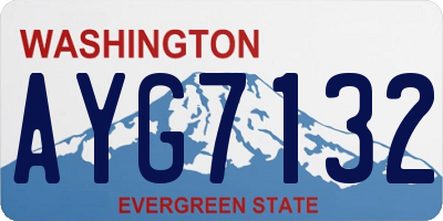 WA license plate AYG7132
