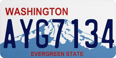 WA license plate AYG7134