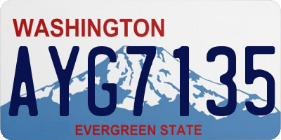 WA license plate AYG7135