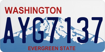 WA license plate AYG7137