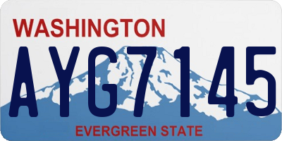 WA license plate AYG7145