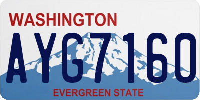 WA license plate AYG7160