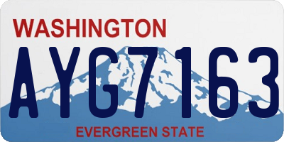 WA license plate AYG7163