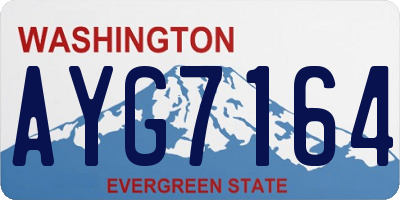 WA license plate AYG7164
