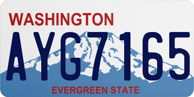WA license plate AYG7165