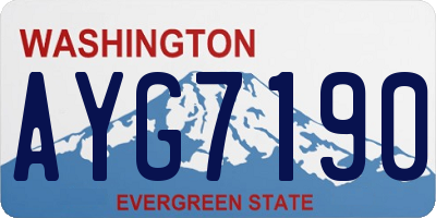 WA license plate AYG7190