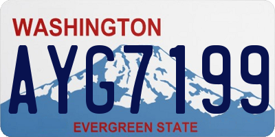 WA license plate AYG7199