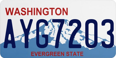 WA license plate AYG7203
