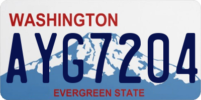 WA license plate AYG7204