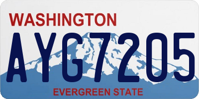 WA license plate AYG7205
