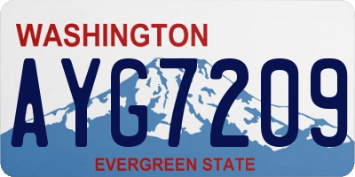 WA license plate AYG7209