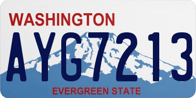 WA license plate AYG7213