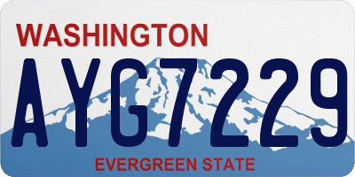 WA license plate AYG7229
